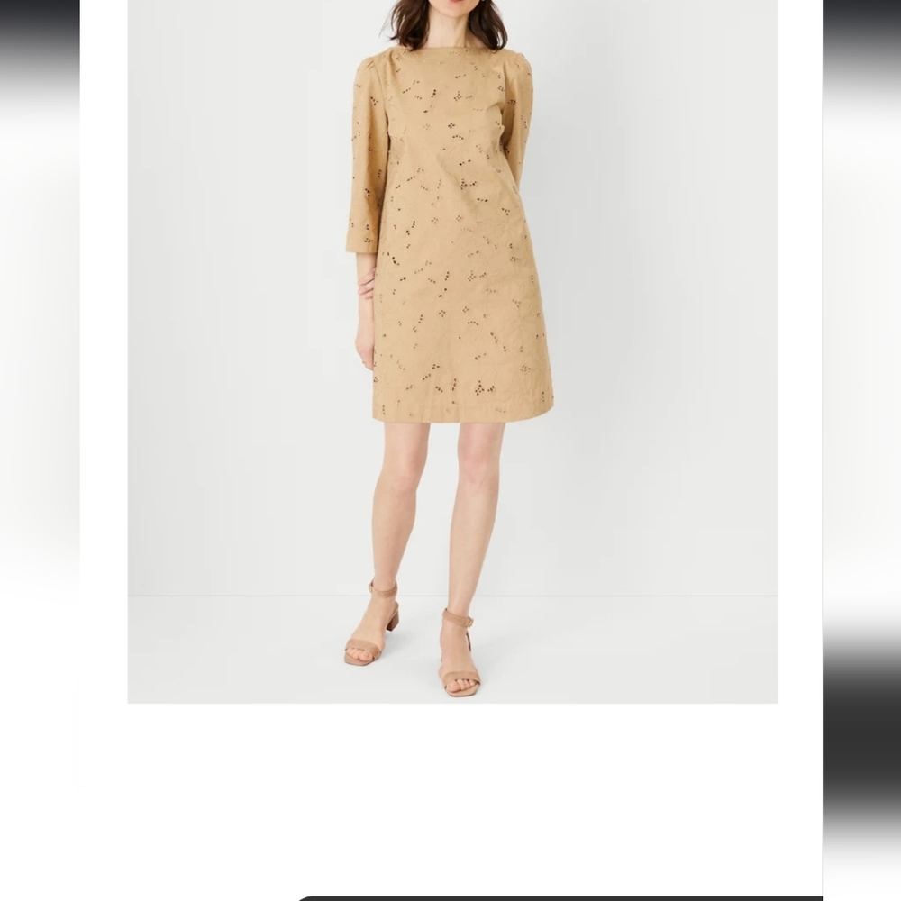 Ann Taylor Eyelet Boatneck Shift Dress